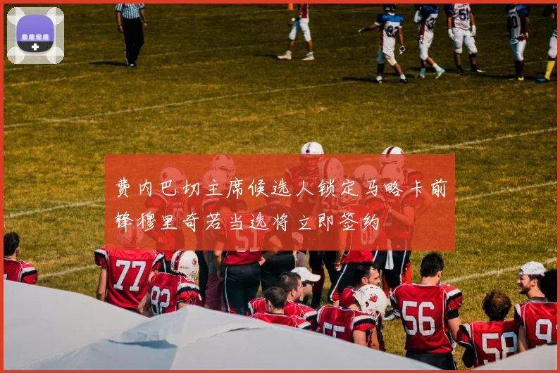 费内巴切主席候选人锁定马略卡前锋穆里奇若当选将立即签约